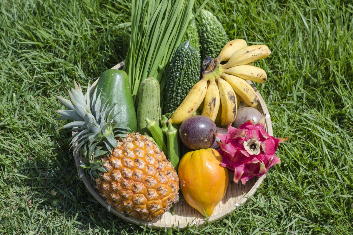 道の駅「ゆいゆい国頭」