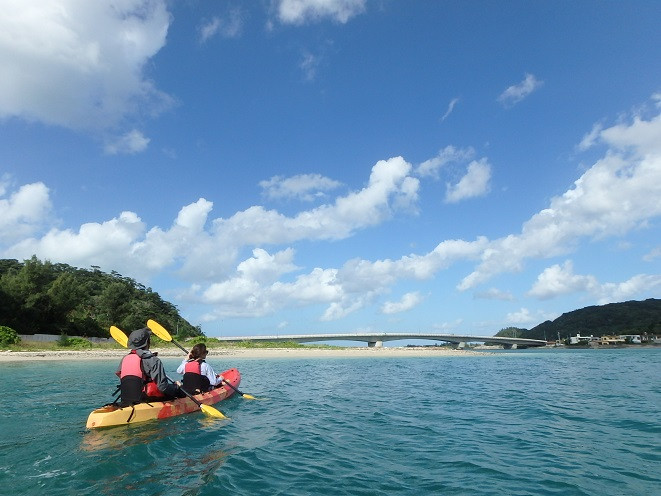 道の駅おおぎみ・やんばるの森ビジターセンター