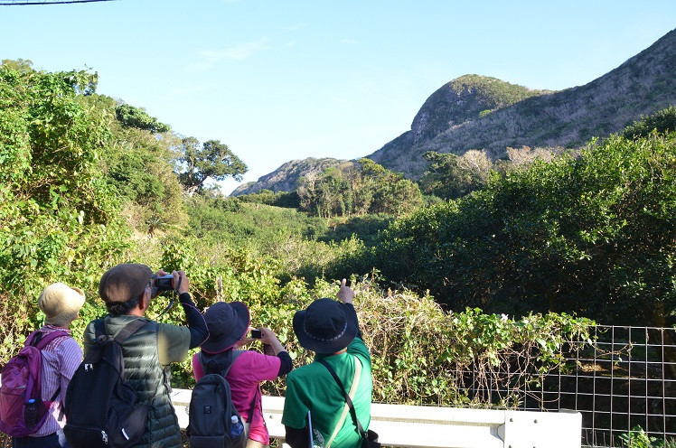 道の駅おおぎみ・やんばるの森ビジターセンター
