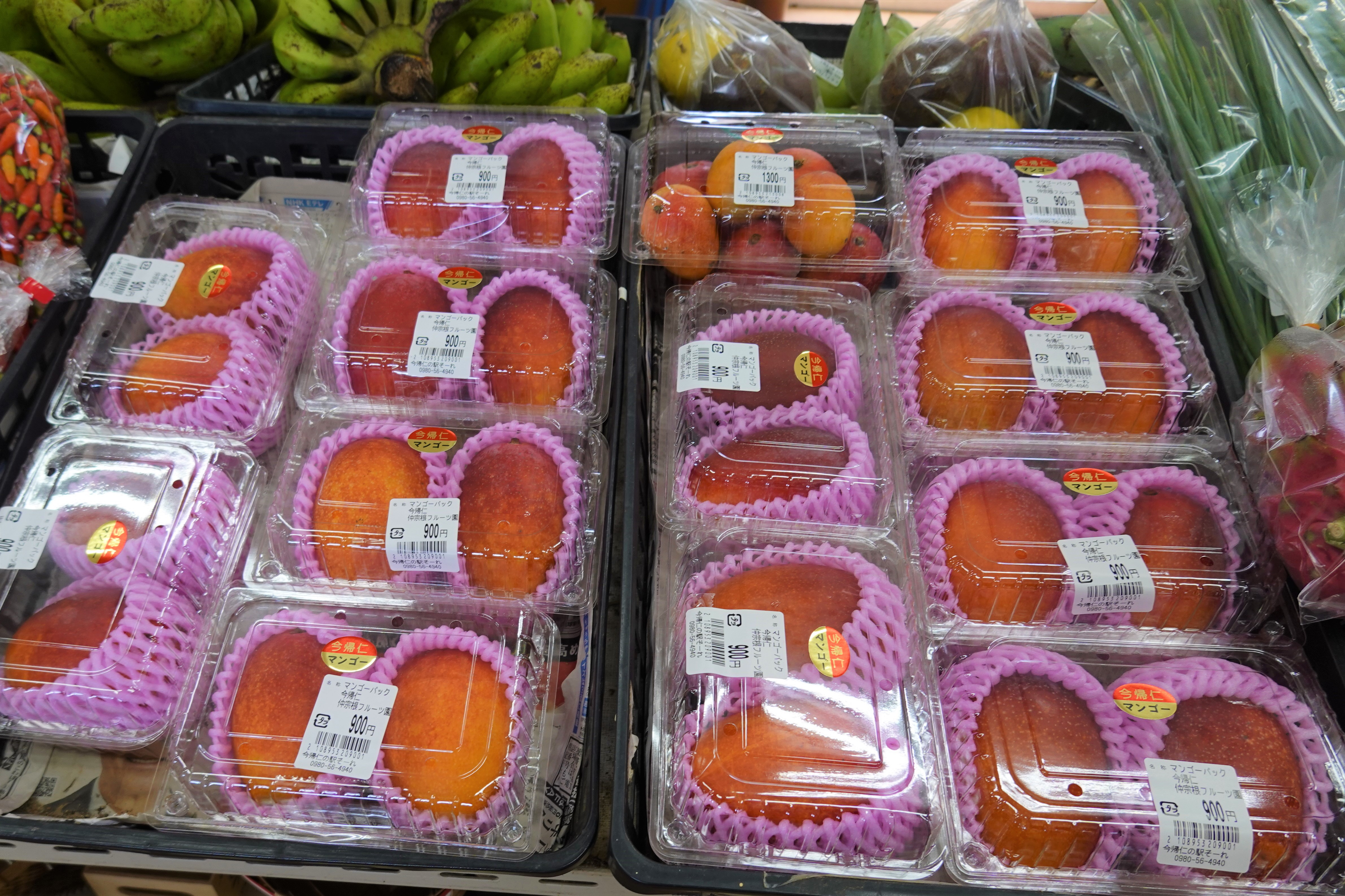 今帰仁の駅そーれ