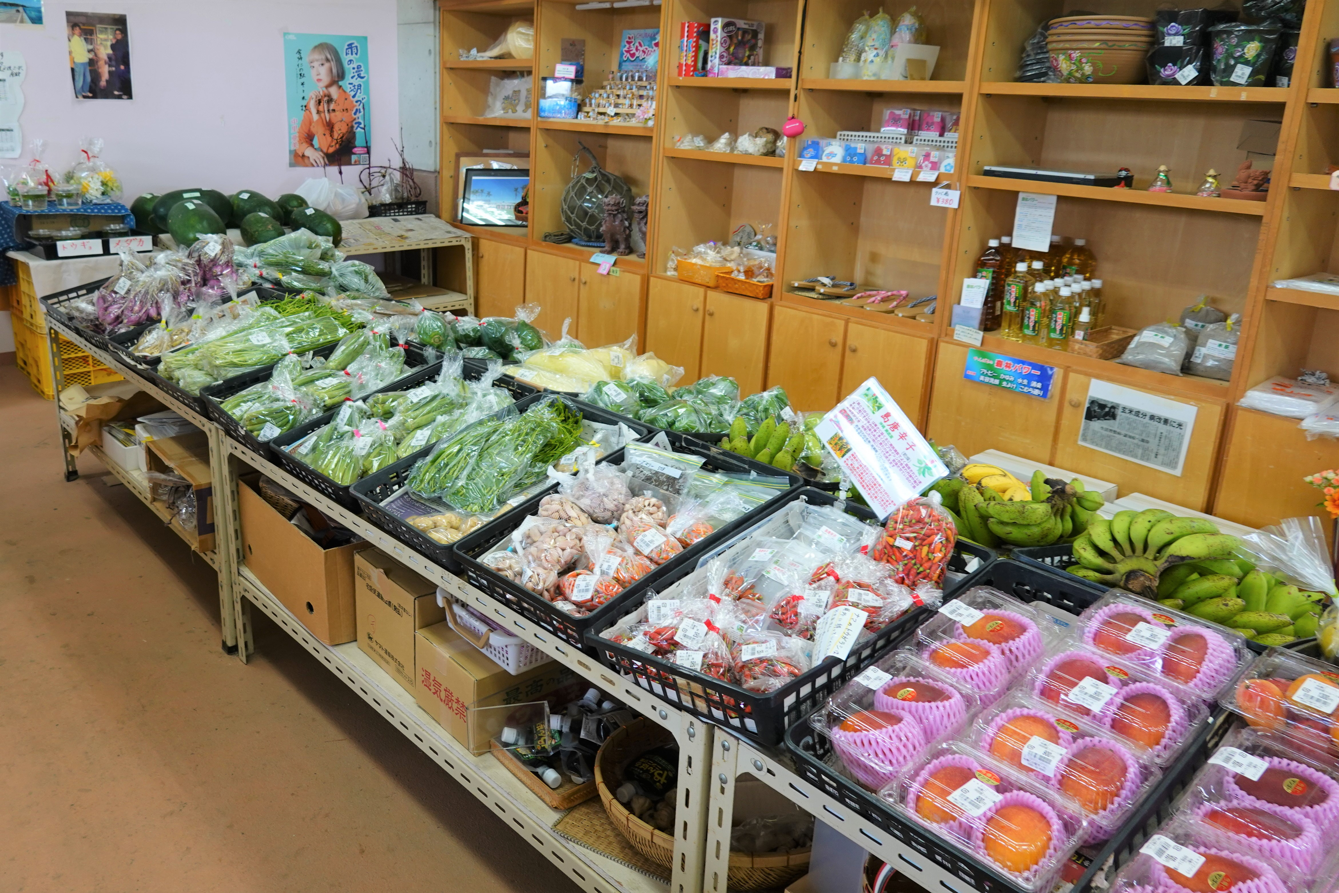 今帰仁の駅そーれ