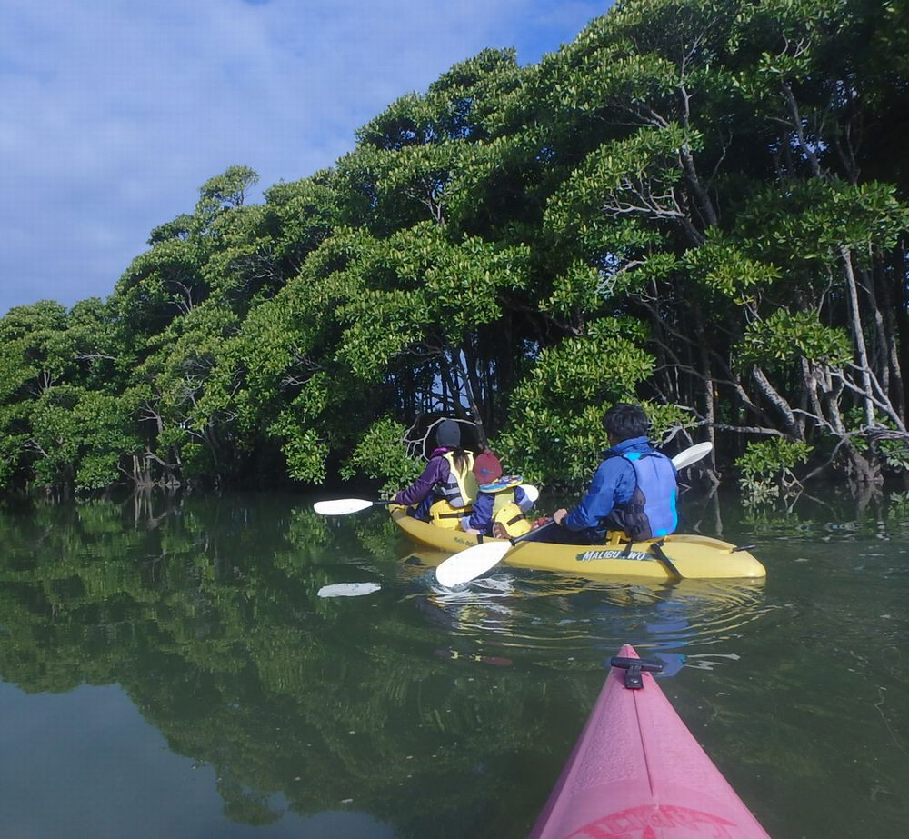 シーキャプテン(青の洞窟シュノーケル＆カヤック）