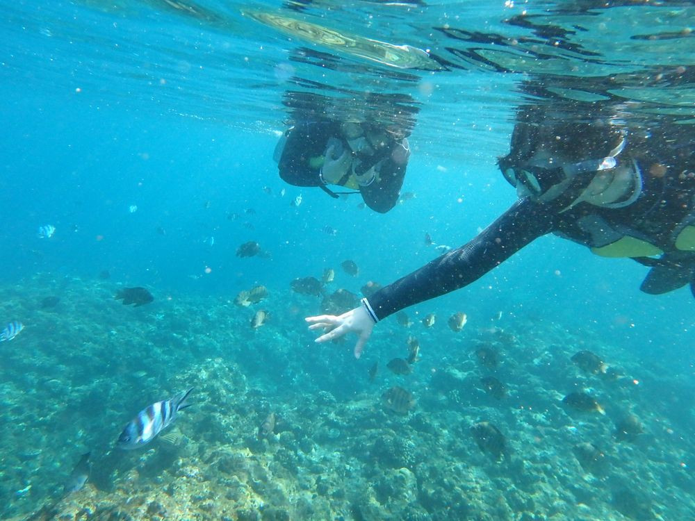 シーキャプテン(青の洞窟シュノーケル＆カヤック）