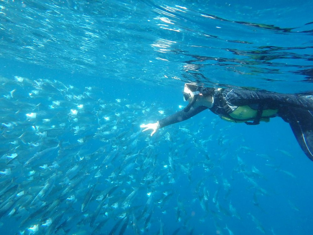 シーキャプテン(青の洞窟シュノーケル＆カヤック）