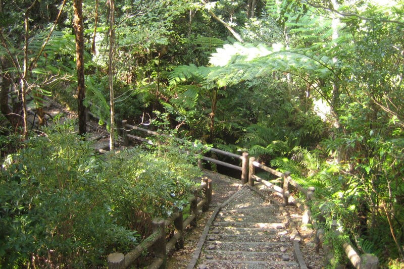 国頭村森林公園