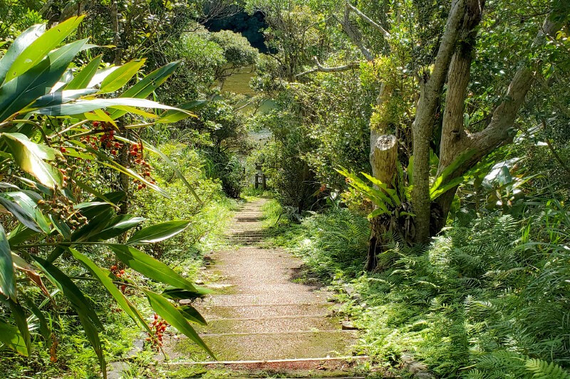 国頭村森林公園