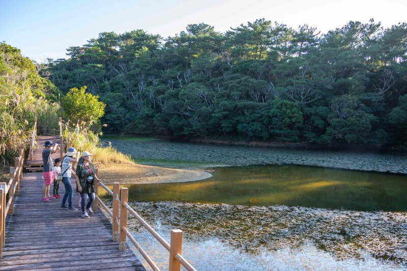 国頭村森林公園