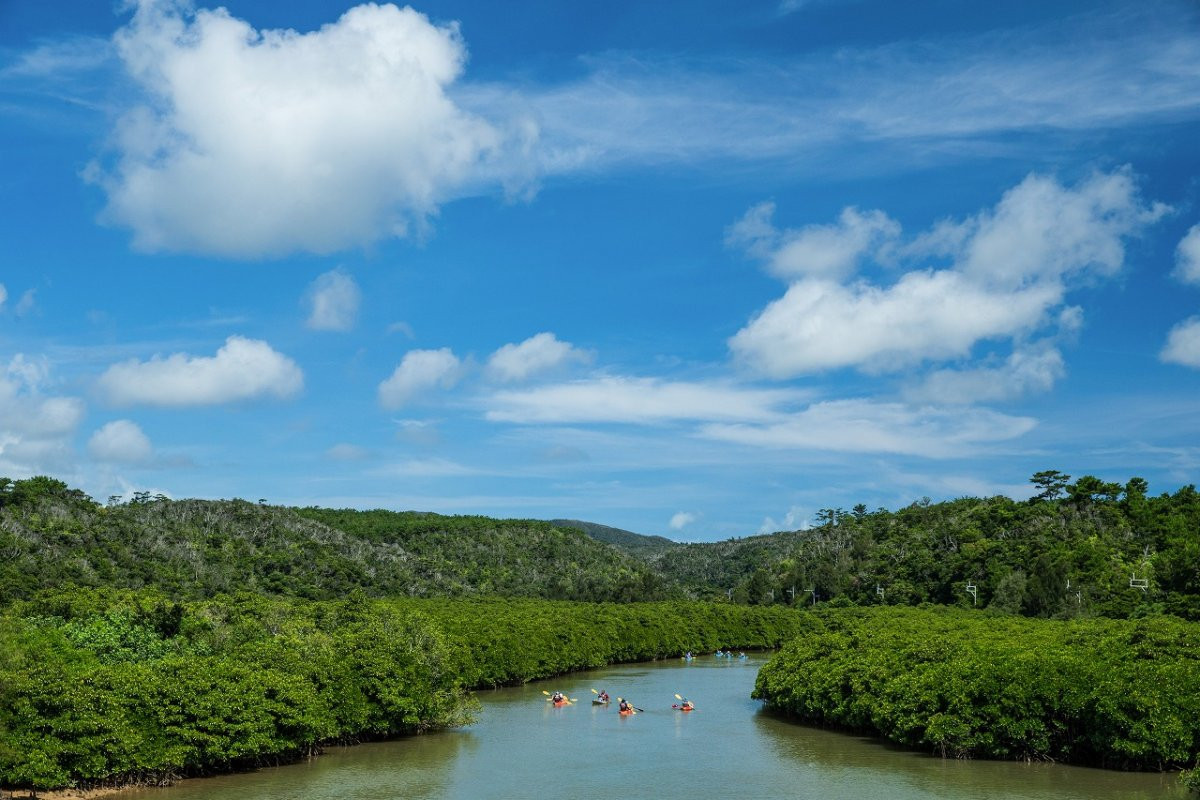 NPO法人　東村観光推進協議会