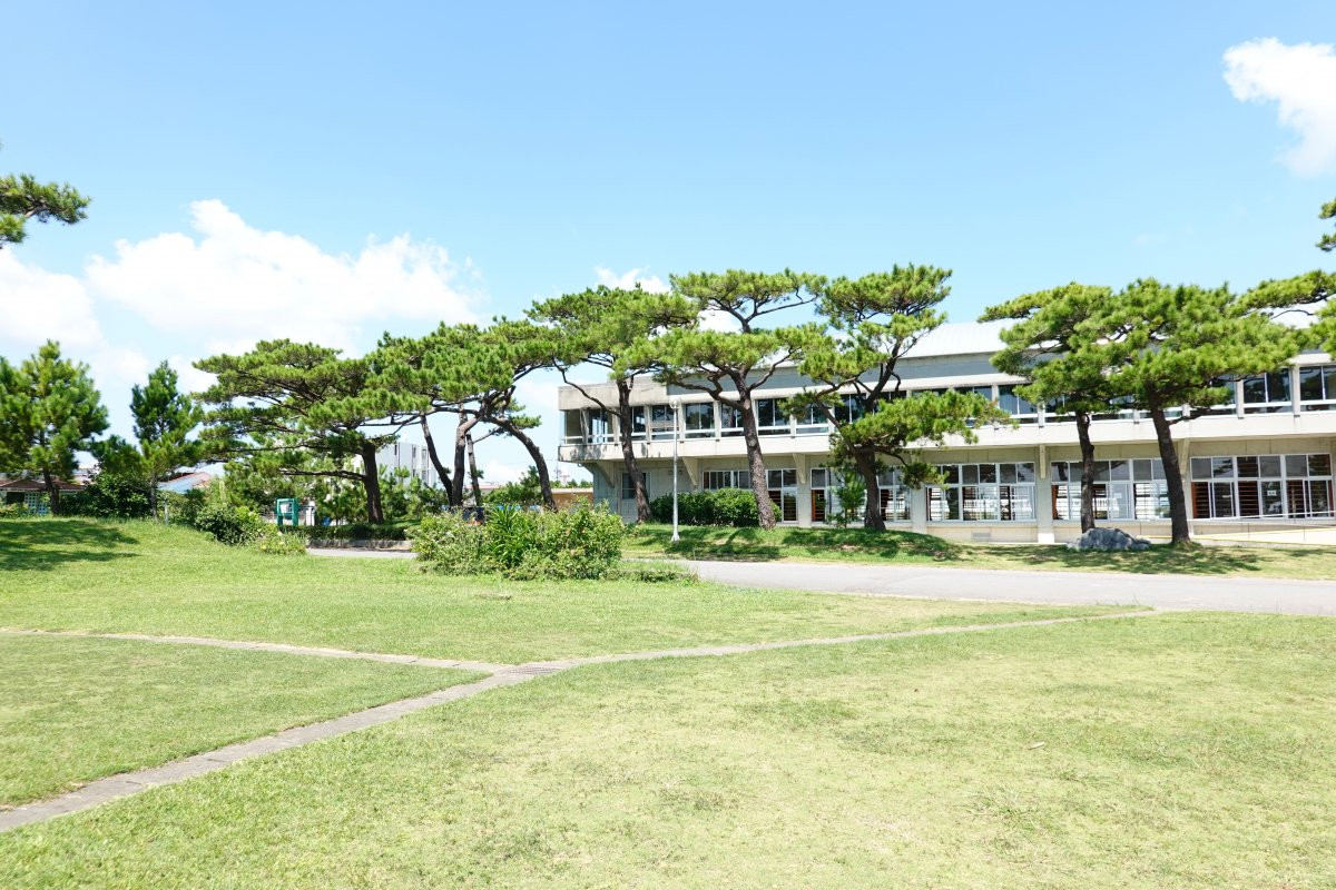 松田の馬場及び松並木(村指定史跡)