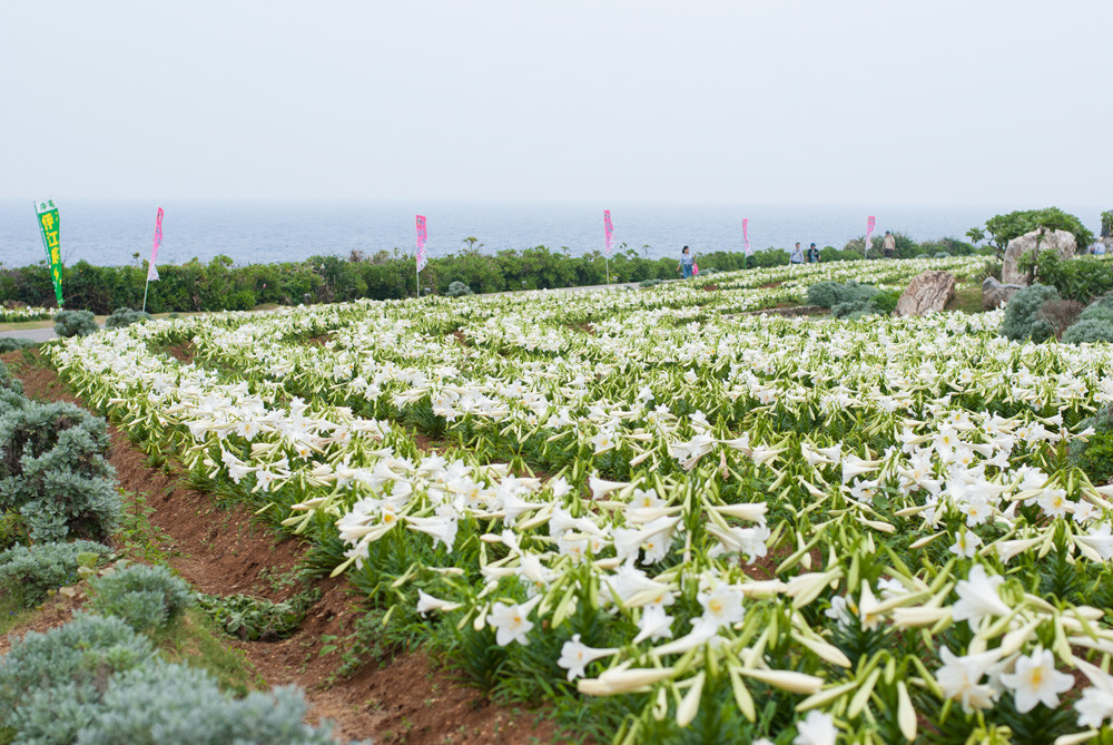 リリーフィールド公園
