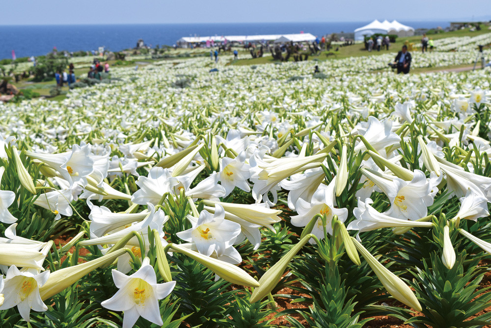リリーフィールド公園