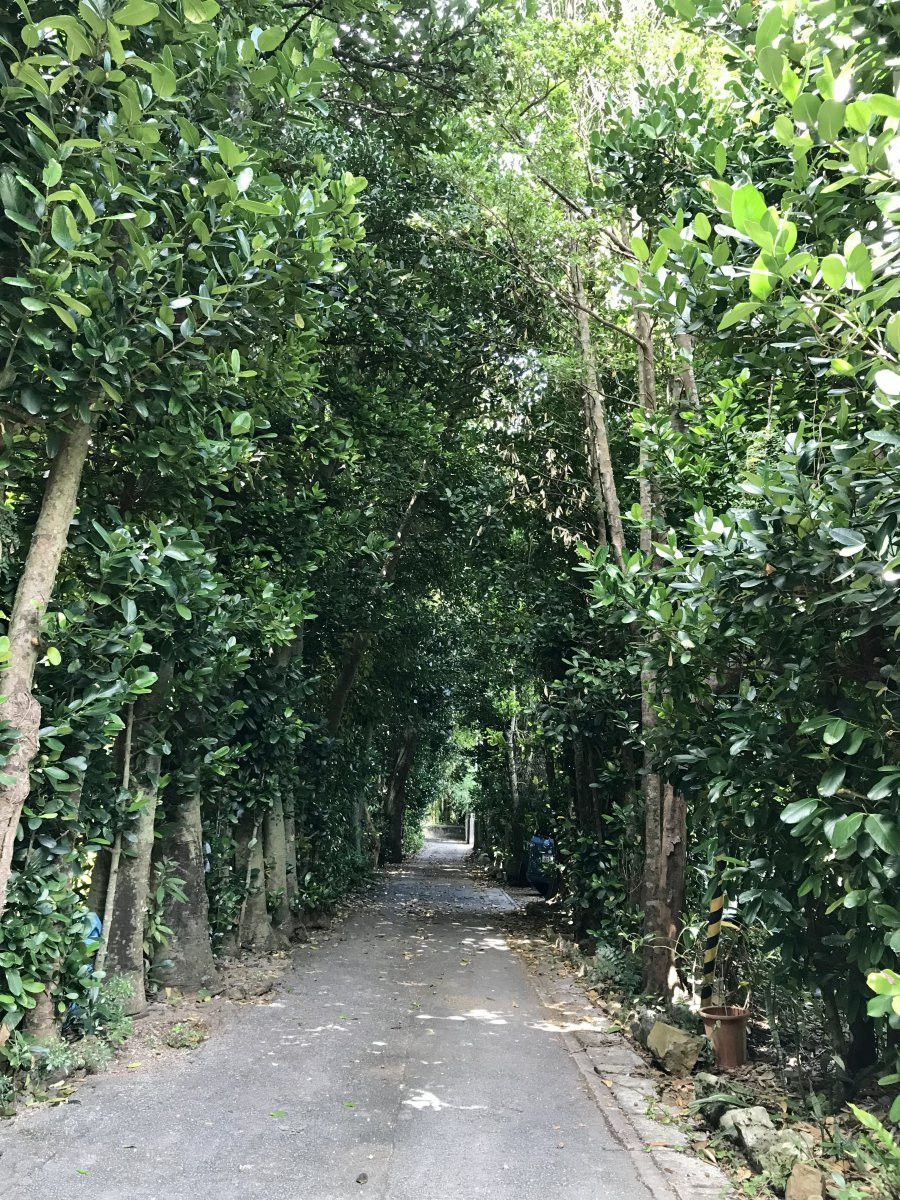 屋部の久護家(県指定有形文化財)