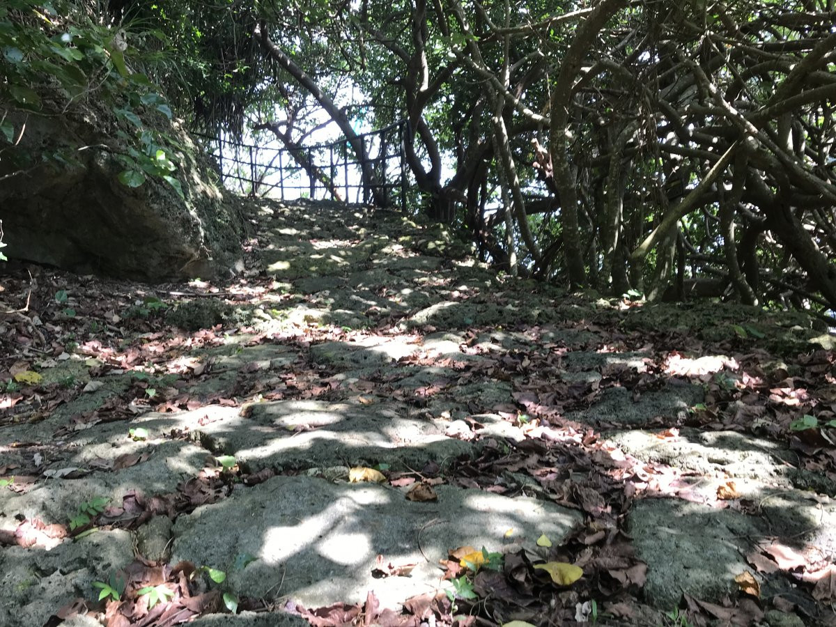 仲泊遺跡(国指定史跡)