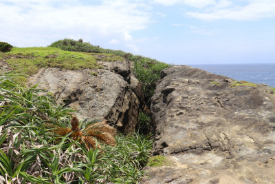 久部良バリー帯