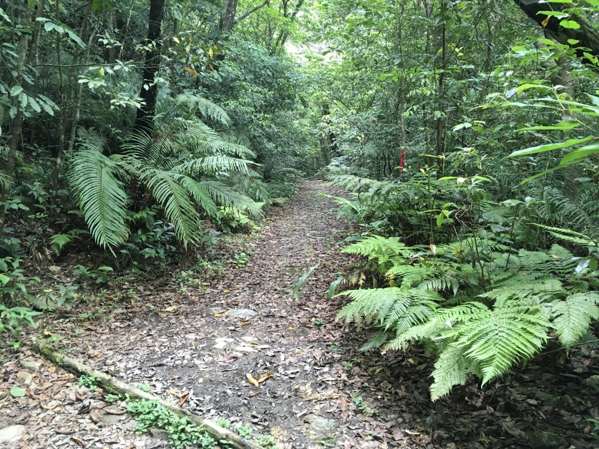 与那覇岳9合目までのコース