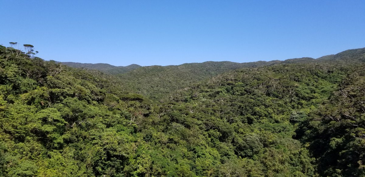 与那覇岳9合目までのコース