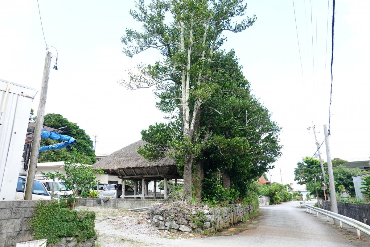 名護市我部祖河の高倉(県指定有形民俗文化財)