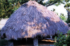 伊是名村伊是名の神アサギ(附拝所)