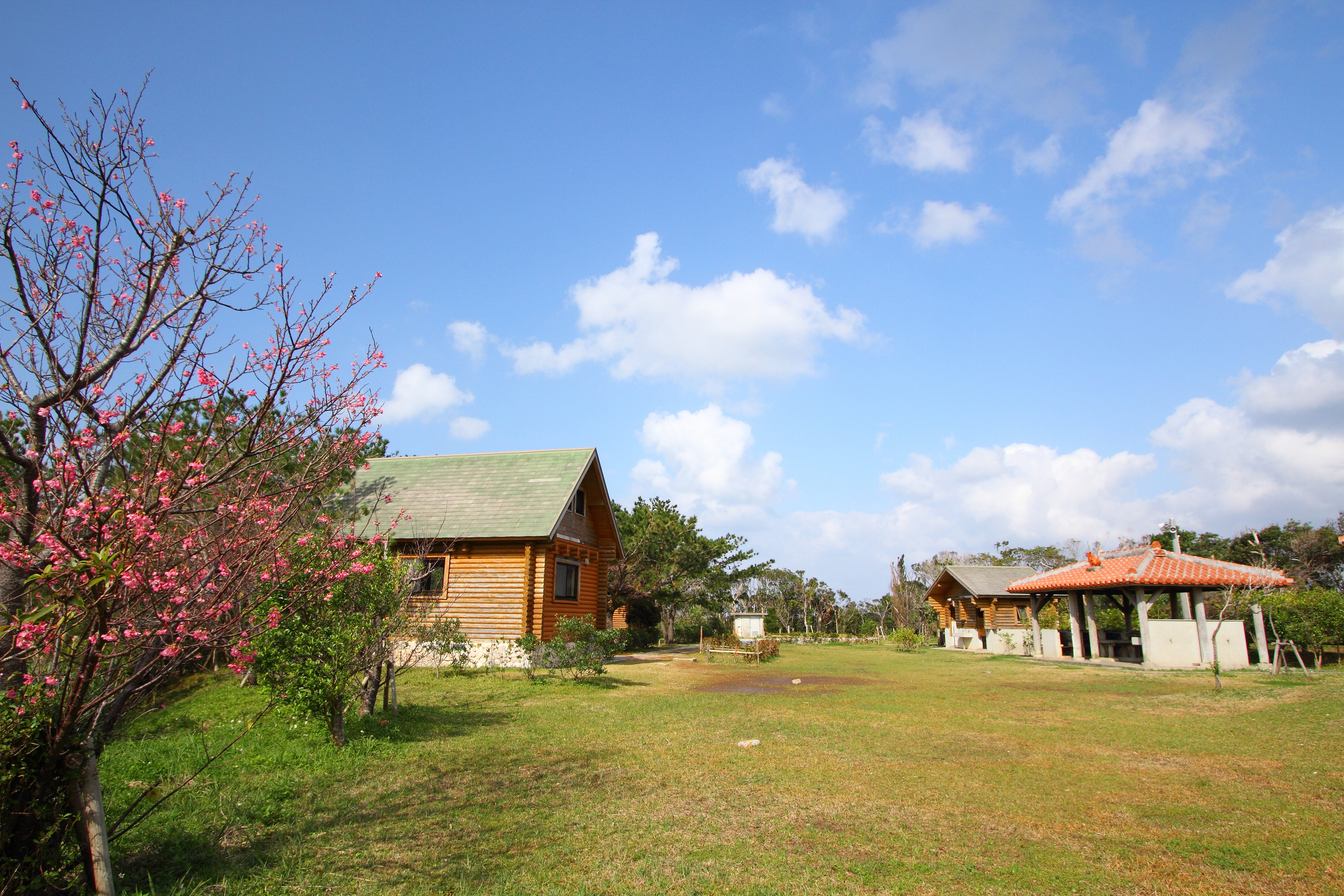 国頭村森林公園 キャンプ場