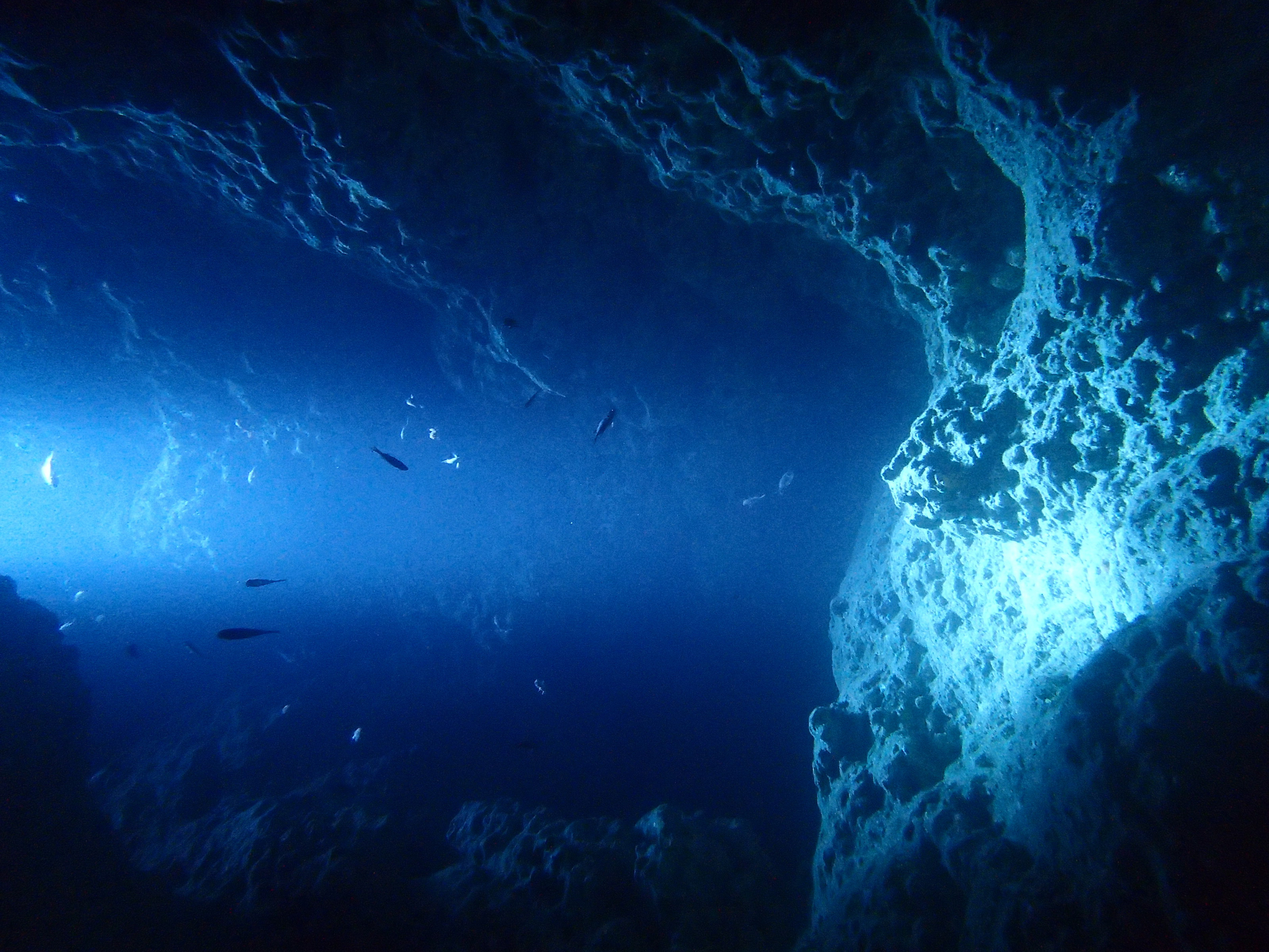 ダイビングショップDorD沖縄