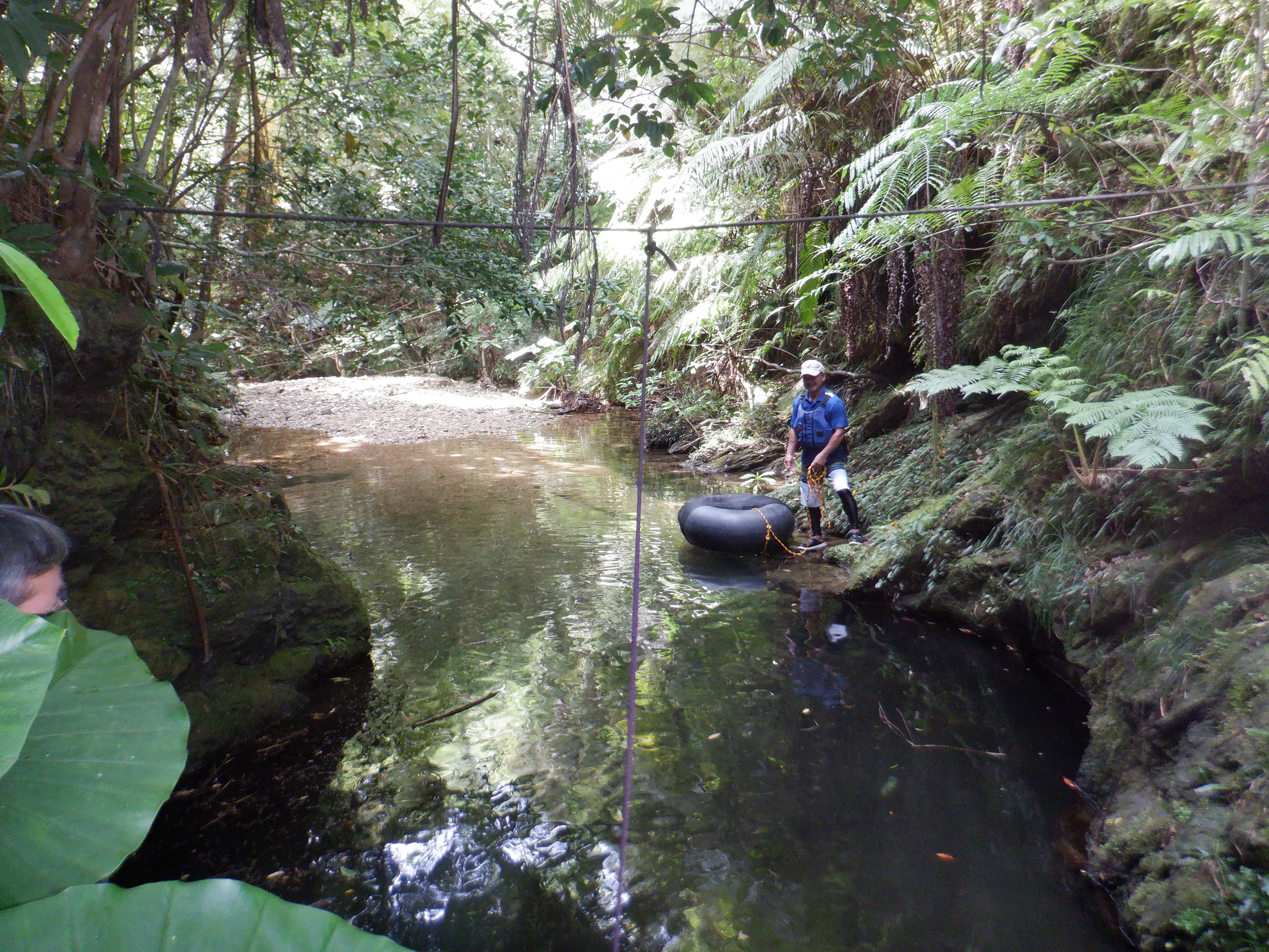 東村村民の森 つつじエコパーク