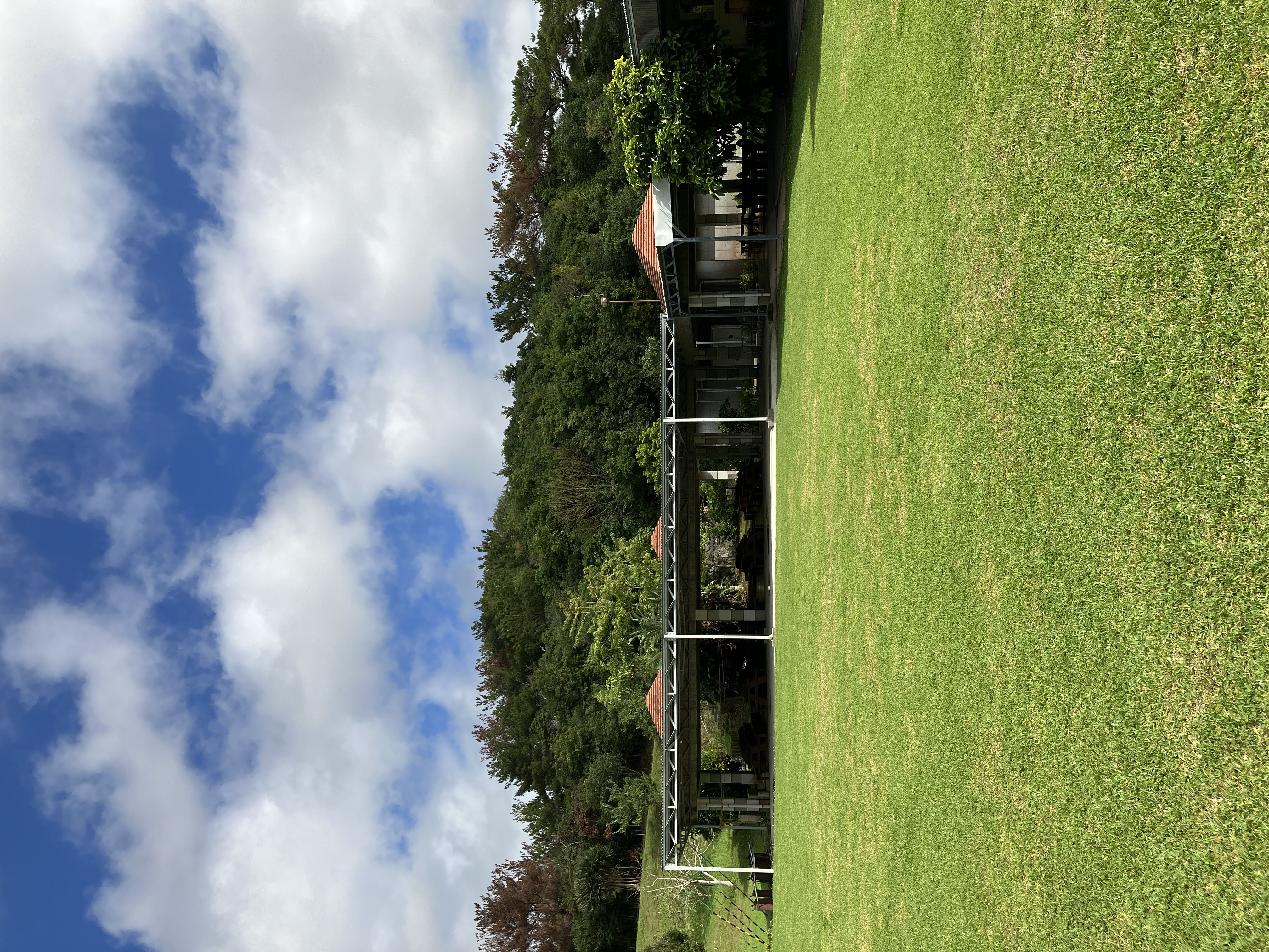 東村村民の森 つつじエコパーク