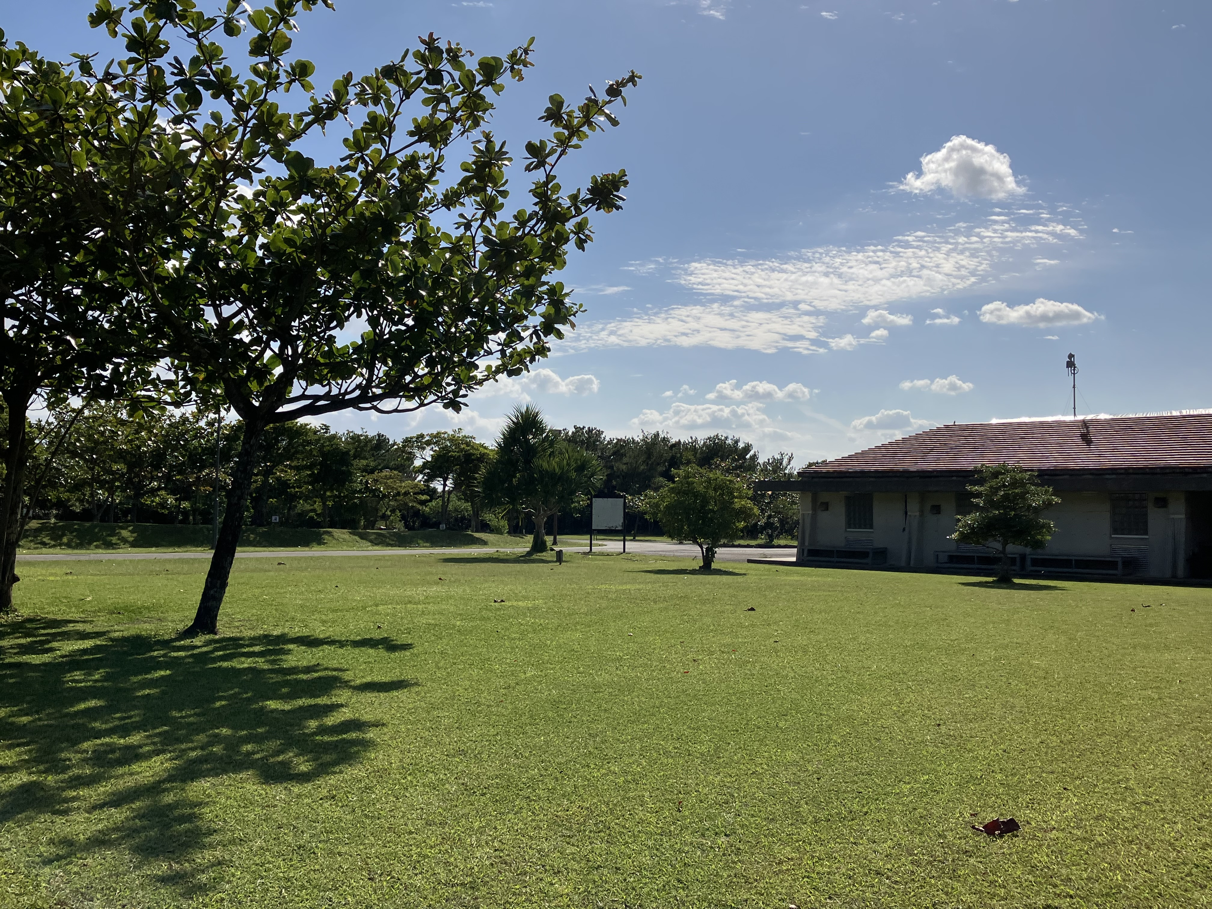 東村村民の森 つつじエコパーク