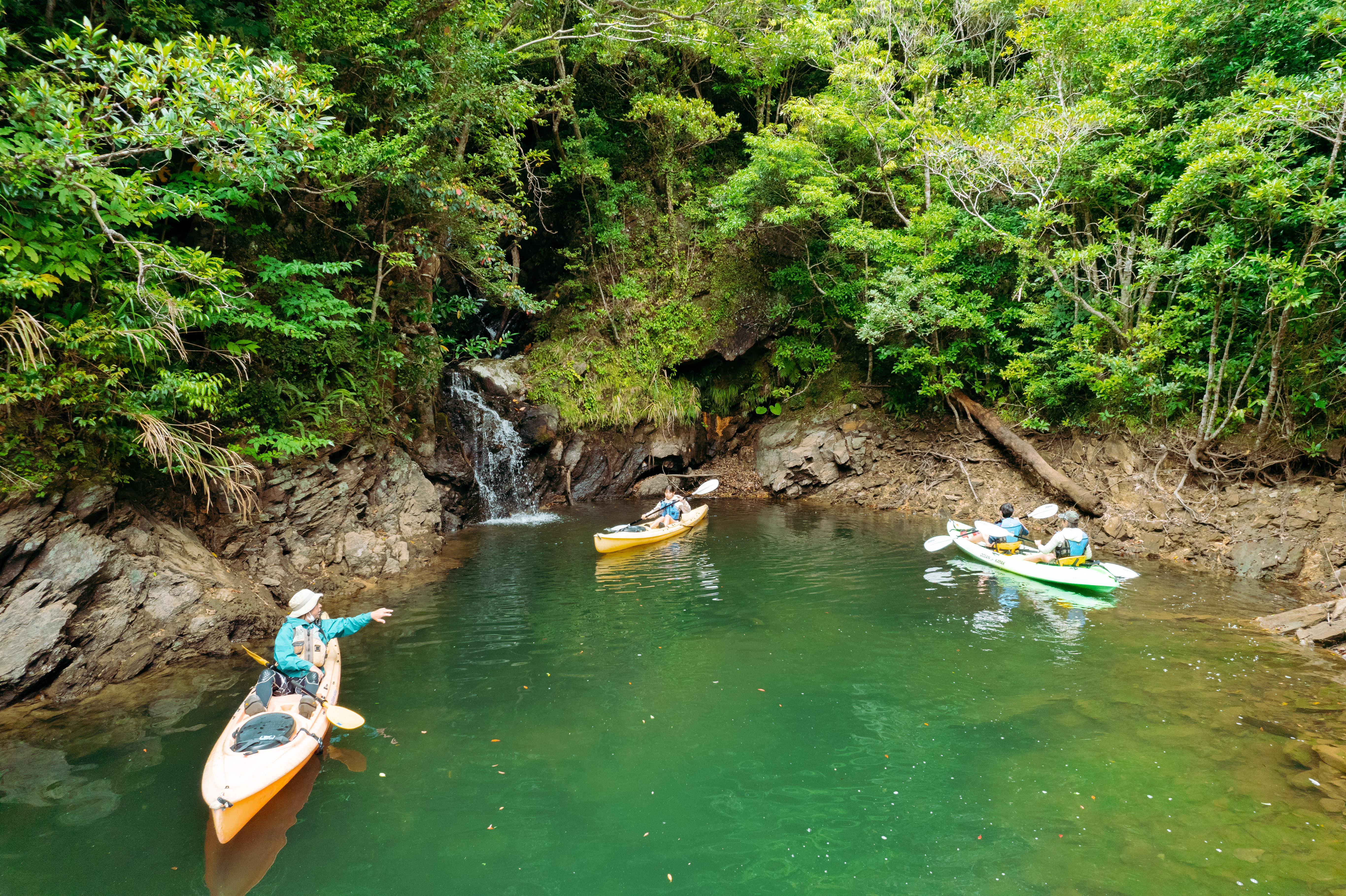 東村村民の森 つつじエコパーク