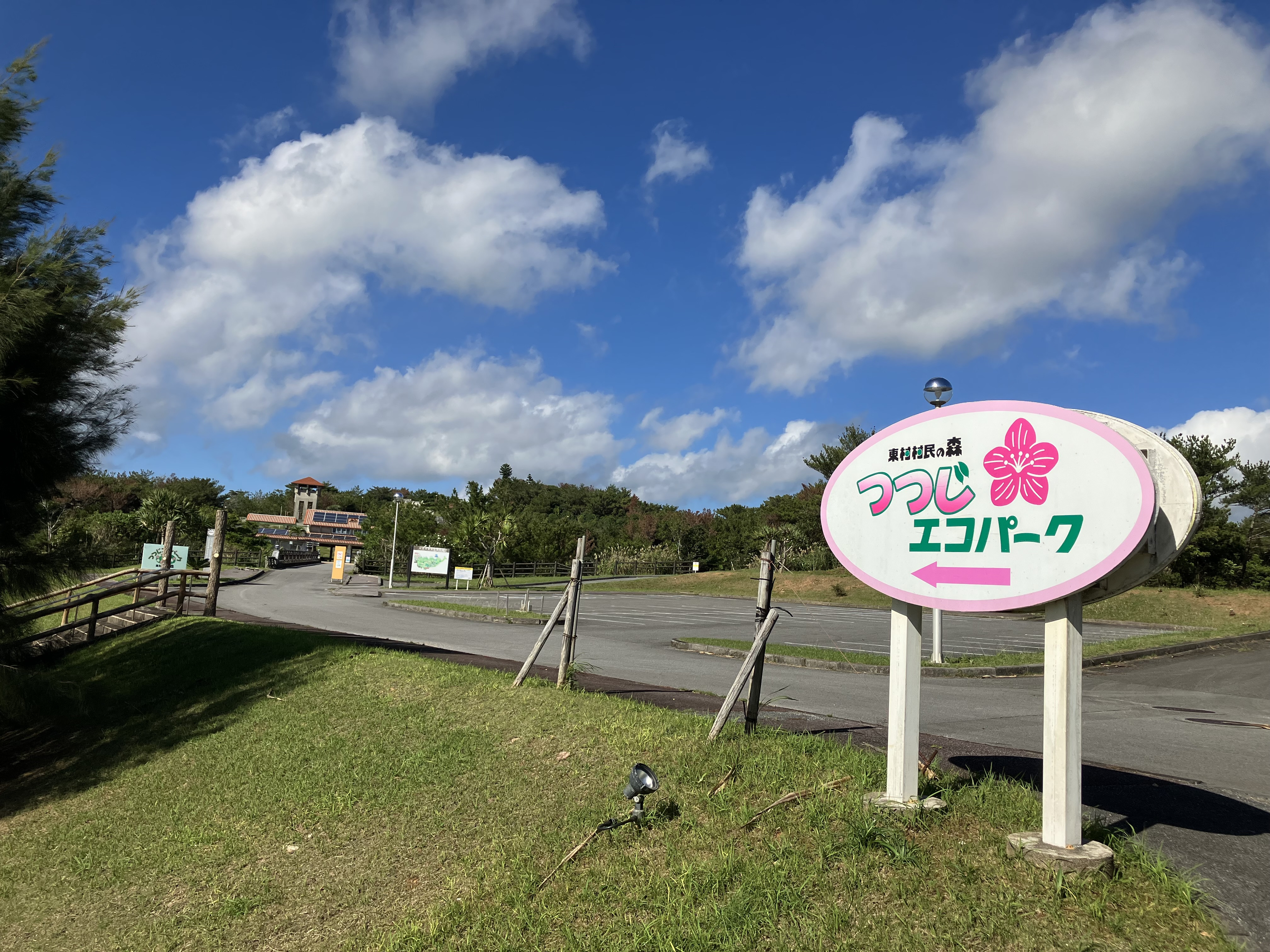 東村村民の森 つつじエコパーク