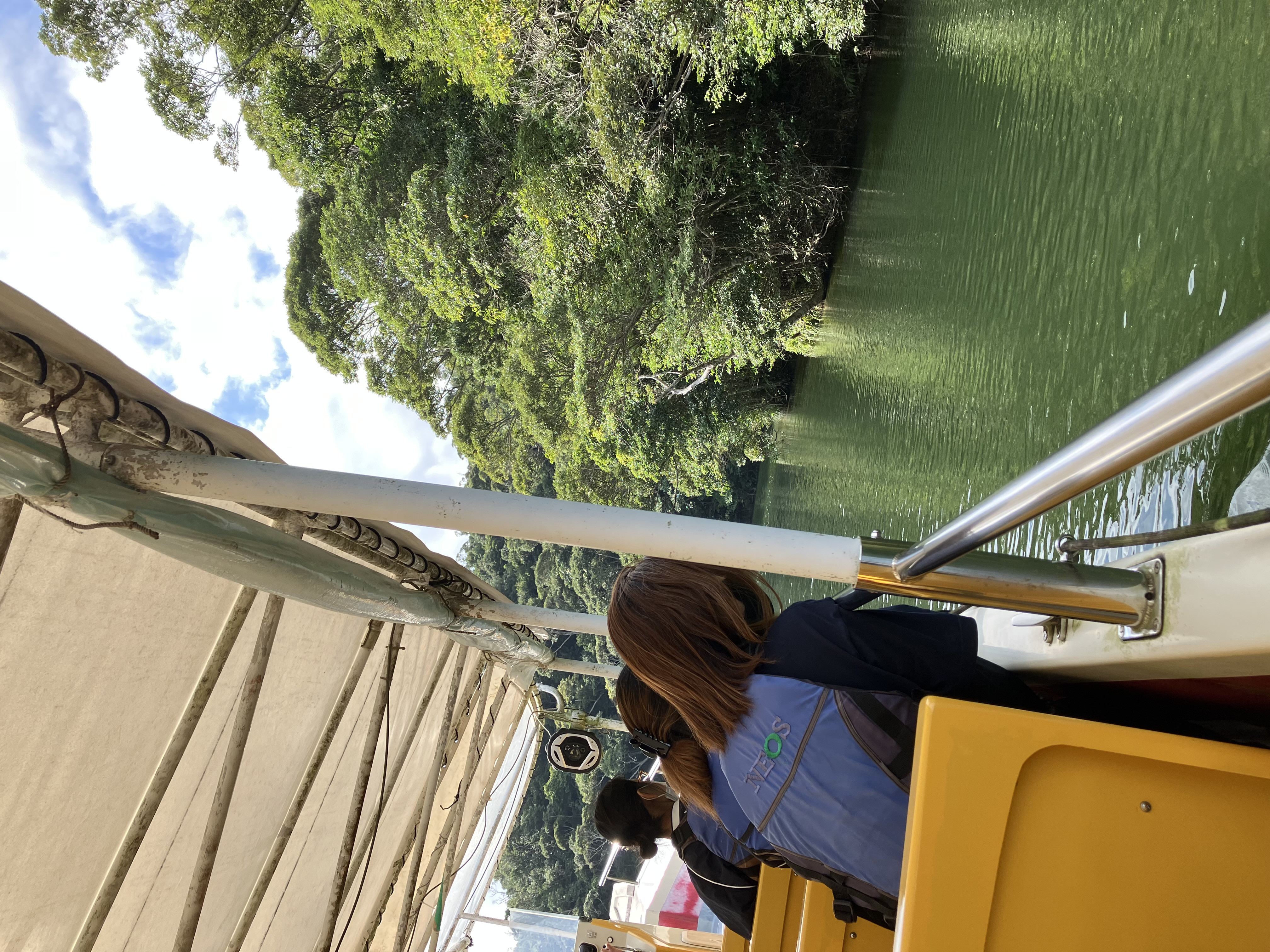 東村村民の森 つつじエコパーク