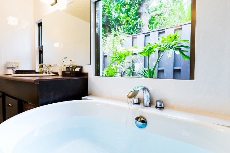 Ｆｕｋｕｇｉ　Ｔｅｒｒａｃｅ　（フクギテラス）