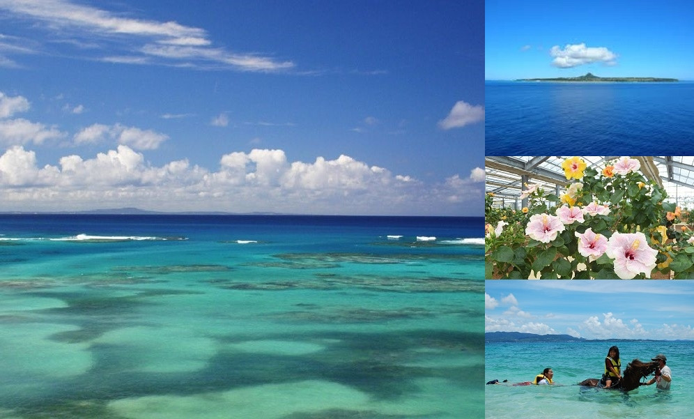 一般社団法人　伊江島観光協会