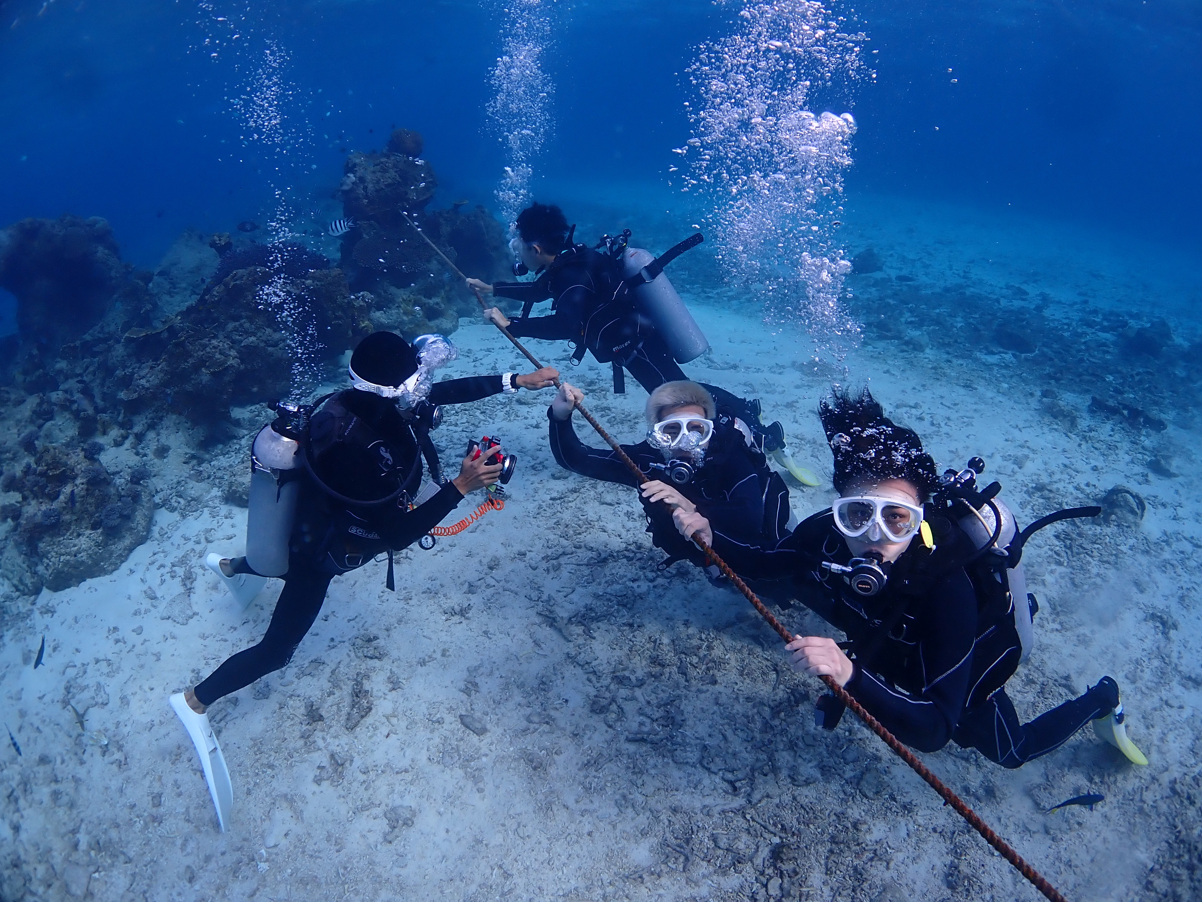 ピンクマーリンクラブ