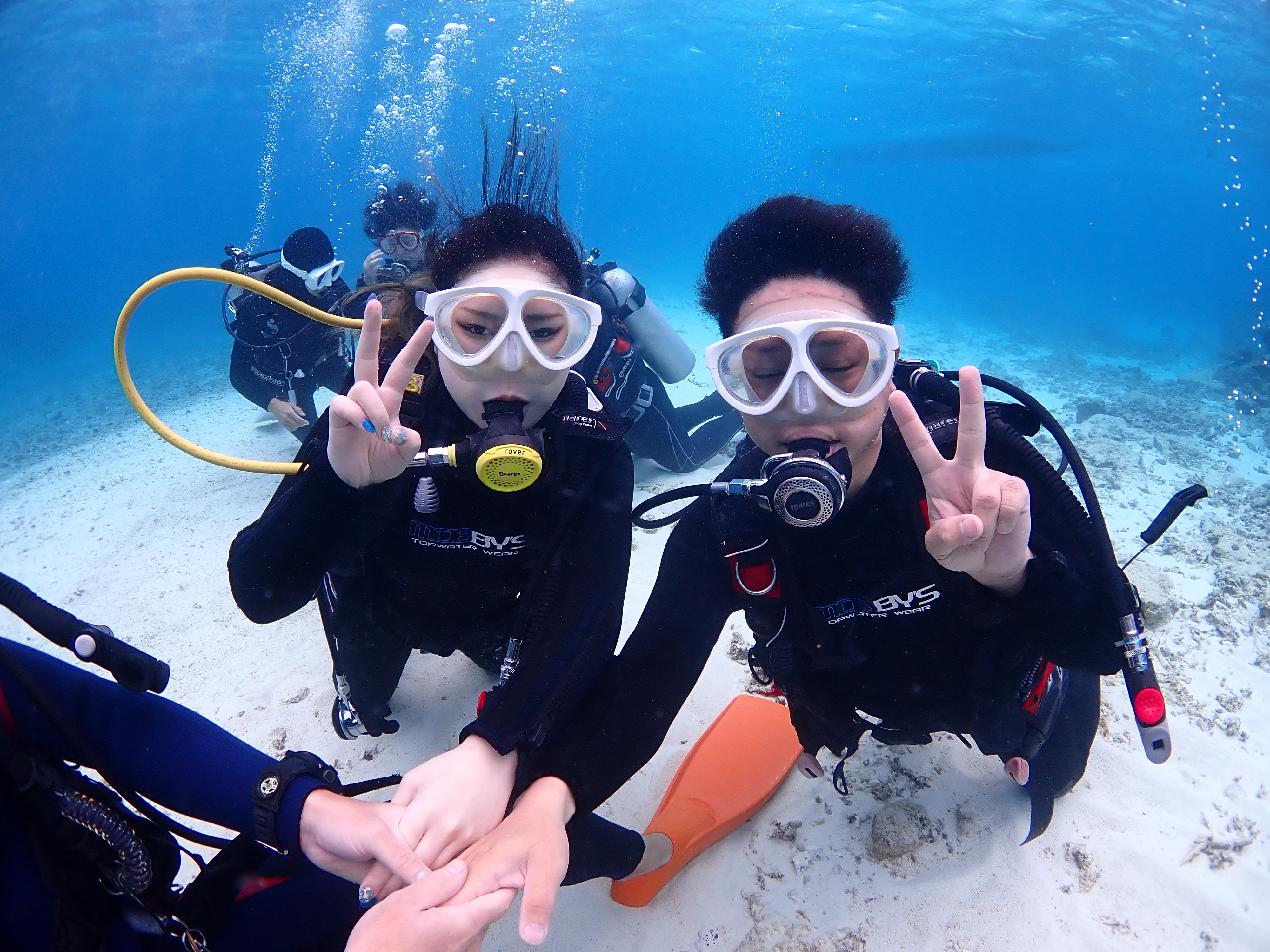 ピンクマーリンクラブ