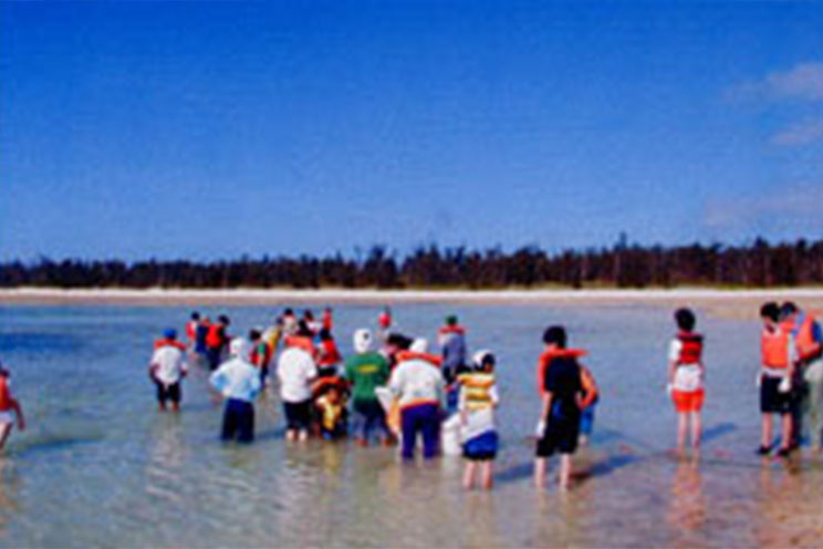 旅の宿たんぽぽ