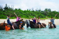 沖縄の海で、馬とあそぼう！