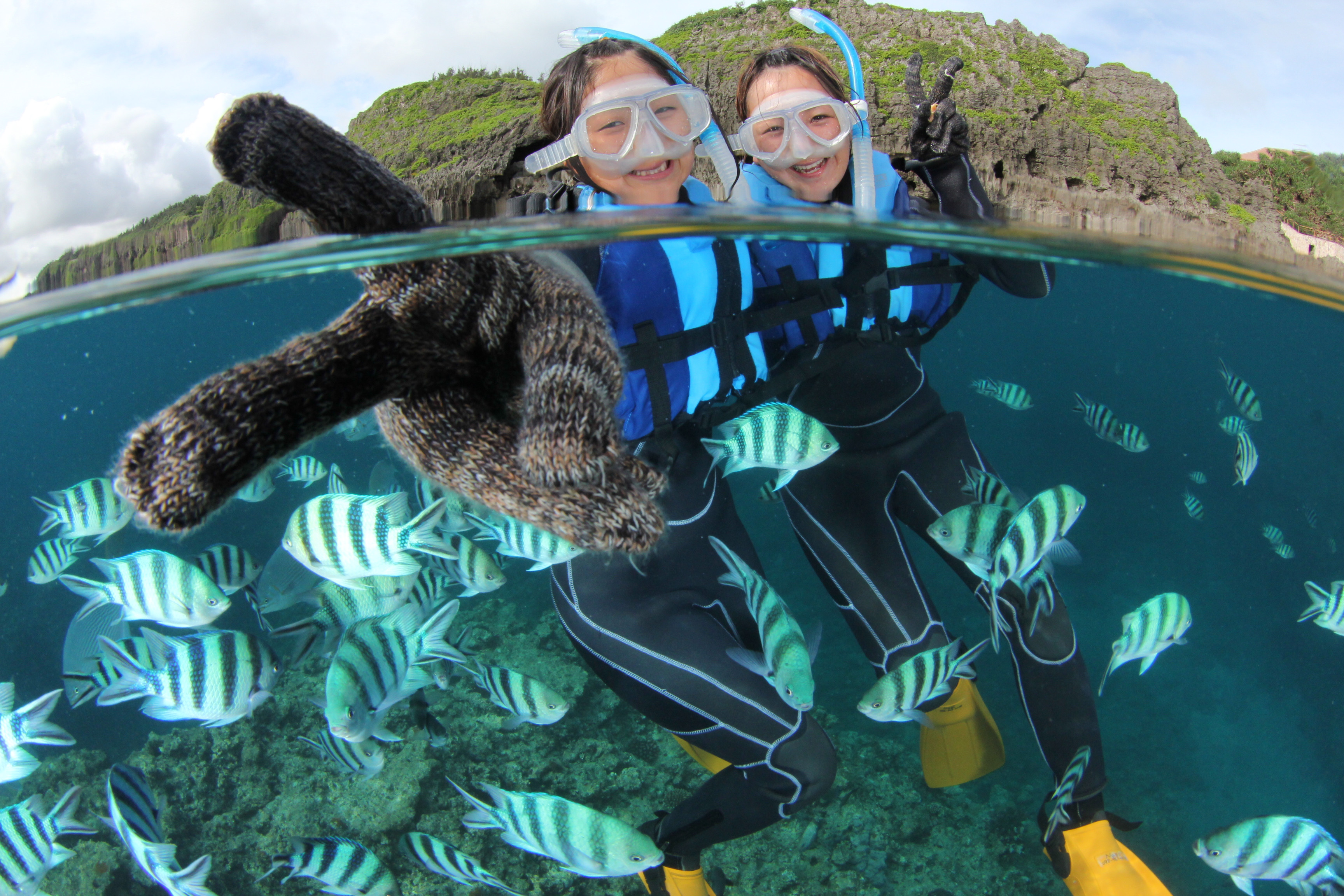 プズマリダイバーズクラブ