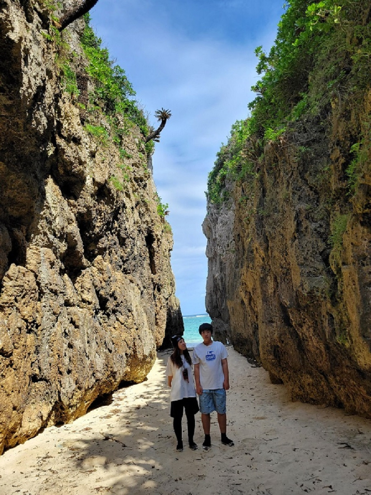 ゲストハウス　【備瀬の海】