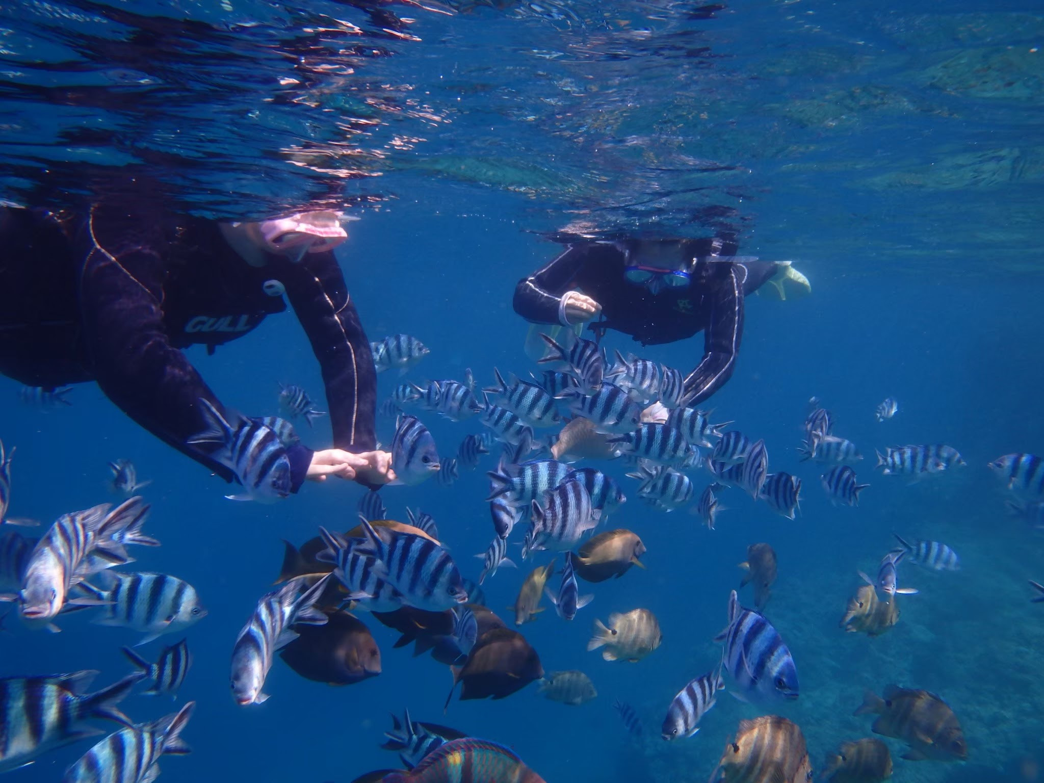 瀬底ビーチマリンクラブ