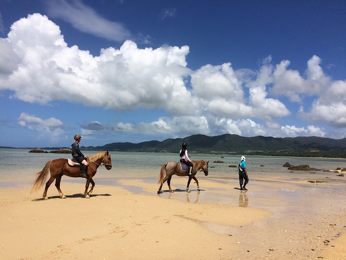 西表島が一望できる、広大な名蔵湾の開放的な景色の中乗馬が楽しめます