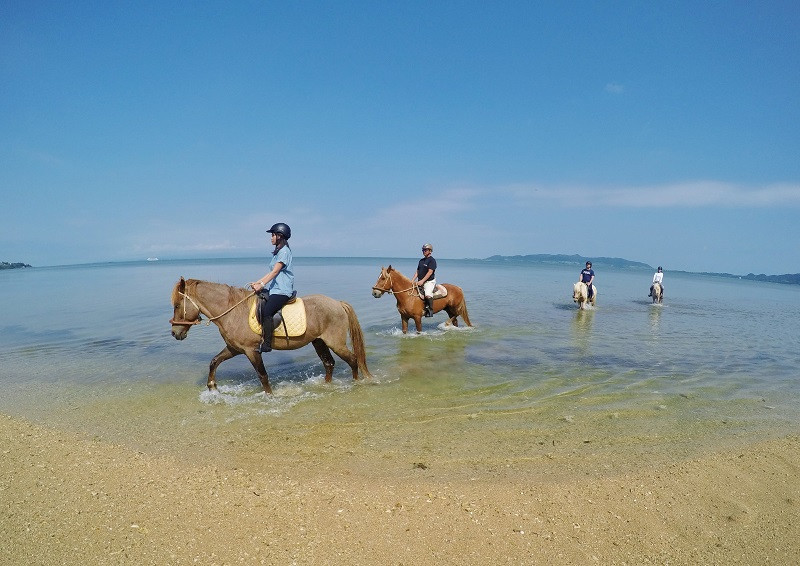 初めての人でも自分で馬に乗って海にも入れる！ビーチトレイル