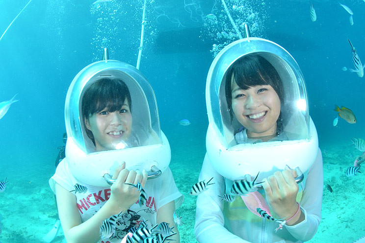 マリンクラブベリー