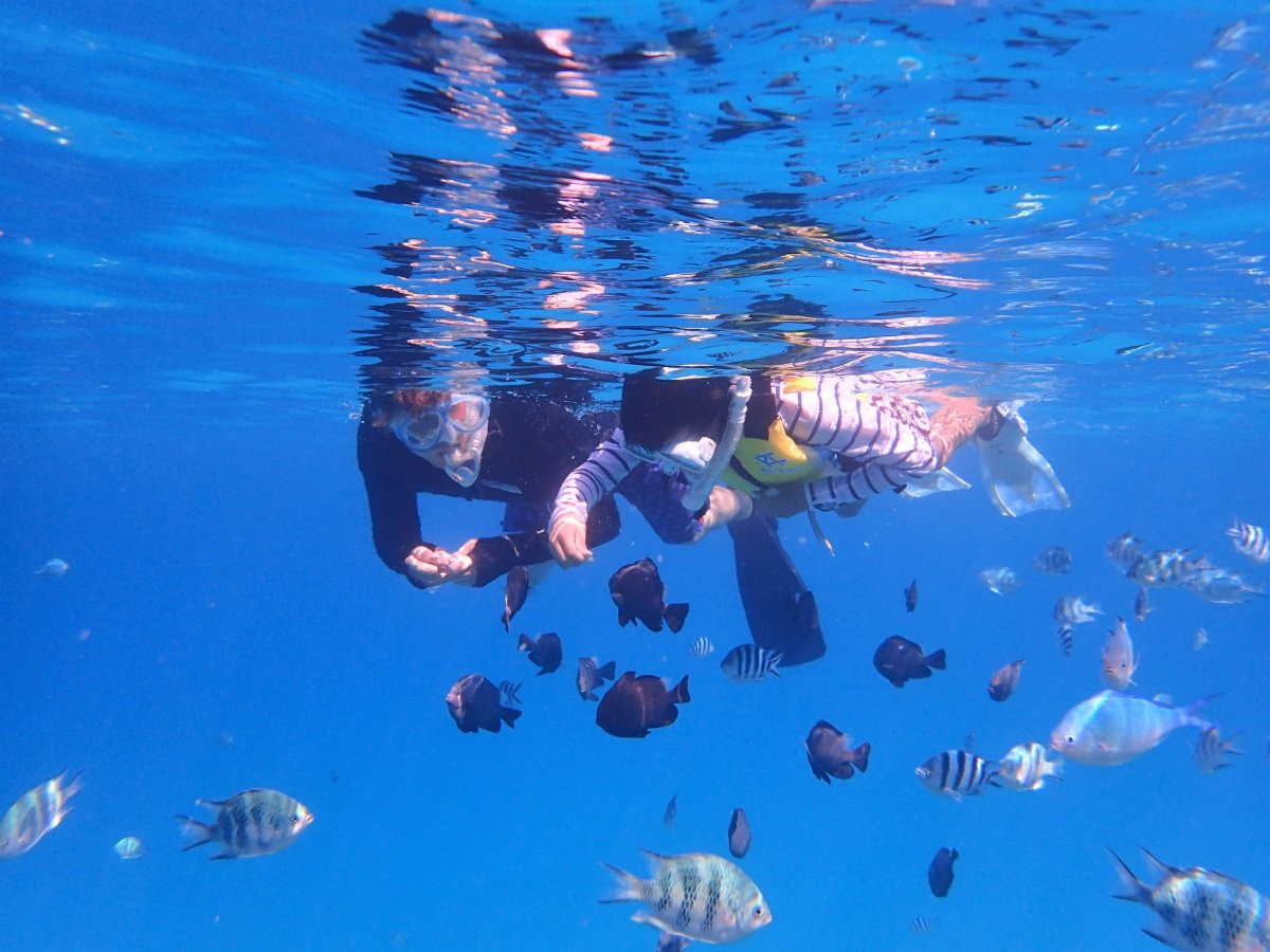 自社ボートで水納島・瀬底島の海へ！シュノーケリング♪