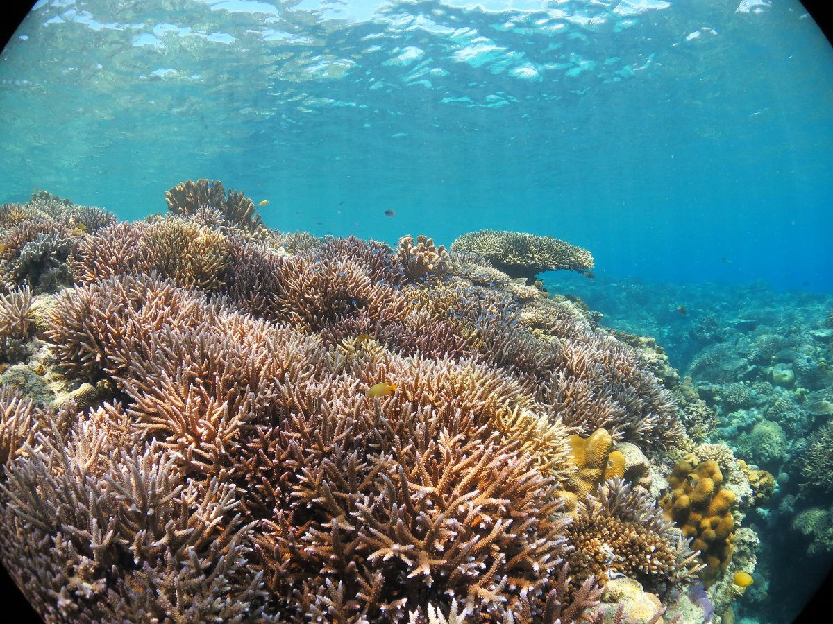 自社ボートで水納島・瀬底島の海へ！シュノーケリング♪
