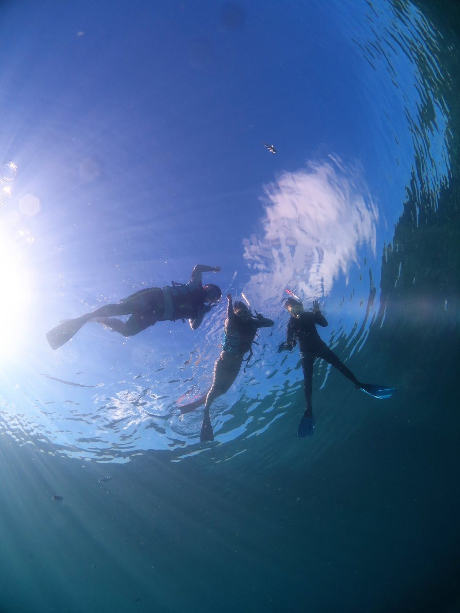 自社ボートで水納島・瀬底島の海へ！シュノーケリング♪
