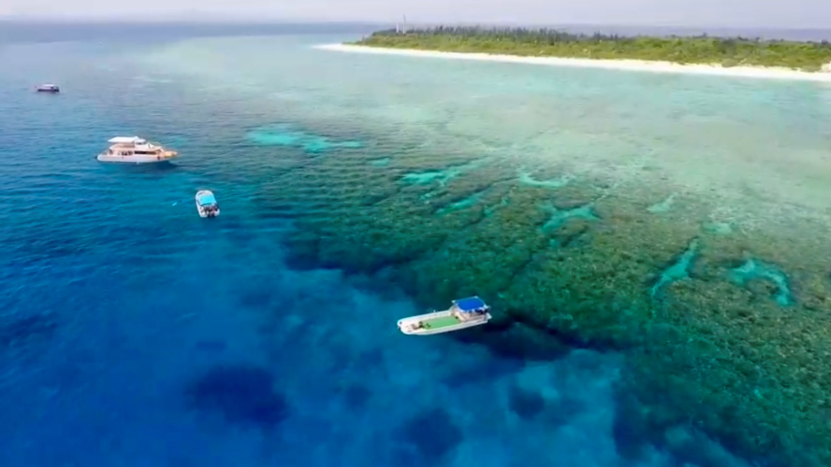 自社ボートで水納島・瀬底島の海へ！シュノーケリング♪