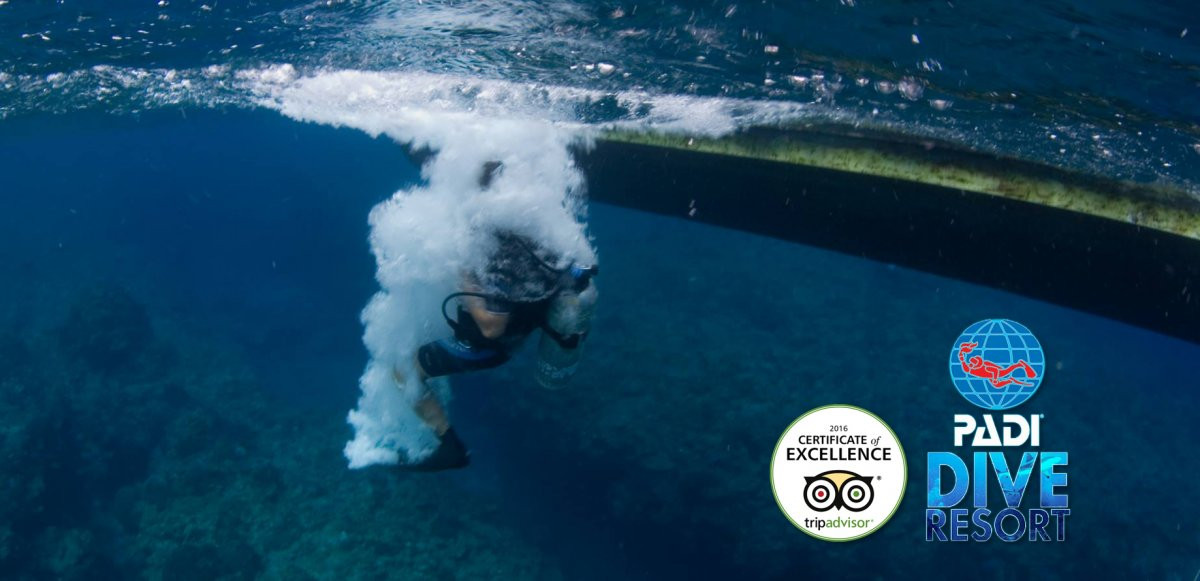 ピラニアダイバーズ沖縄 　SDI ライセンスコース