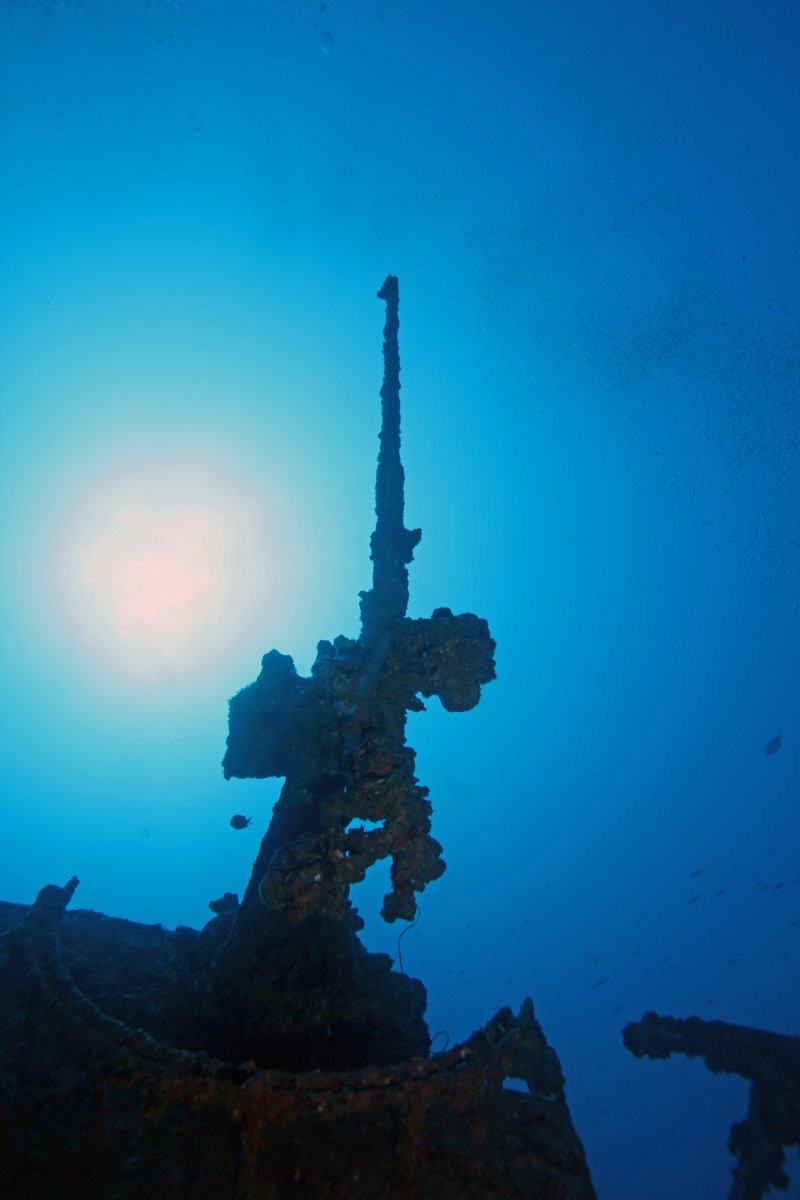 スクーバダイビング「ピラニアダイバーズ沖縄」