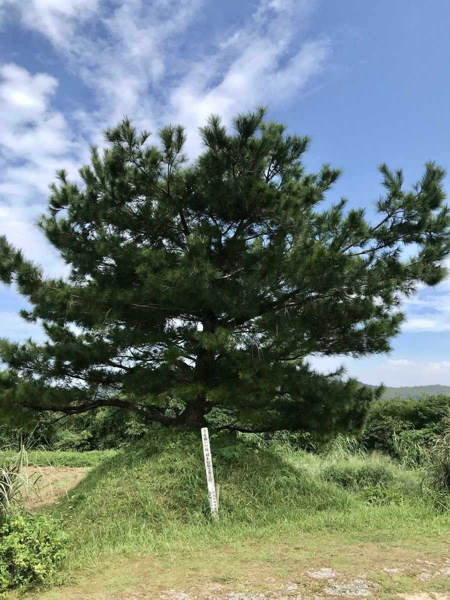 真栄田の一里塚(村指定文化財)