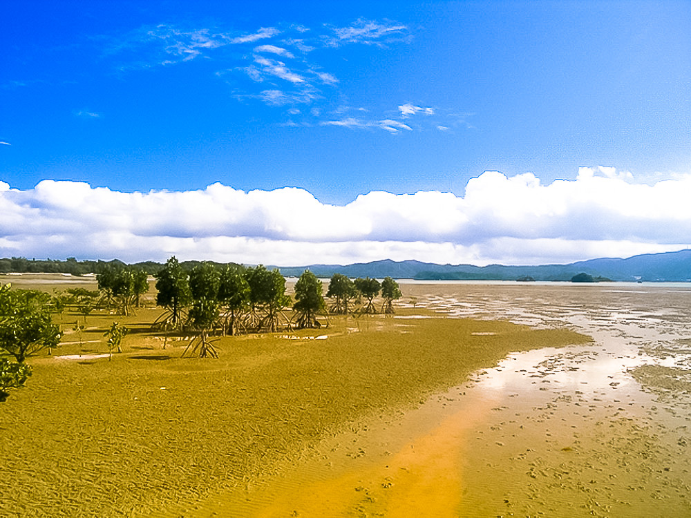 屋我地エコツーネット